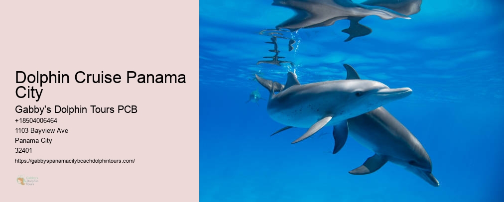 Panama City Florida Dolphin Cruise