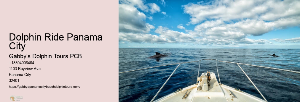 Panama City Florida Dolphin Cruise