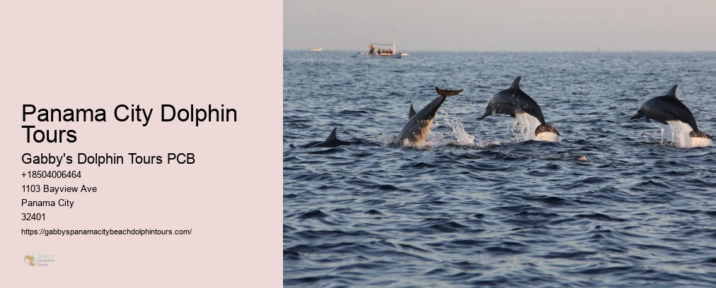 Panama City Dolphin Tours