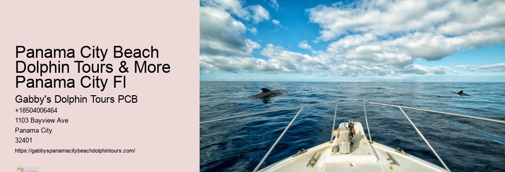 Panama City Florida Dolphin Cruise