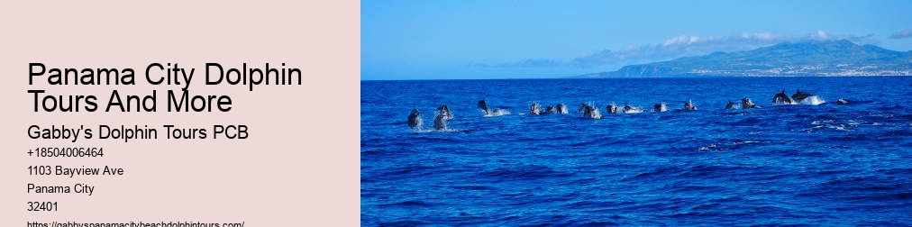 Panama City Florida Dolphin Cruise