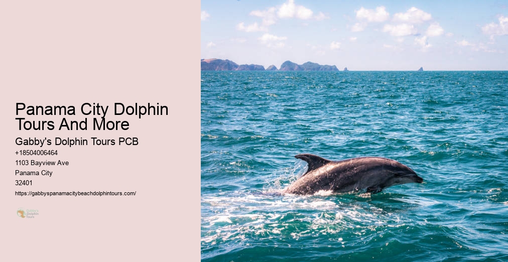 Dolphin Ride Panama City