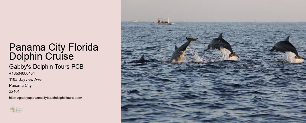 Panama City Florida Dolphin Cruise