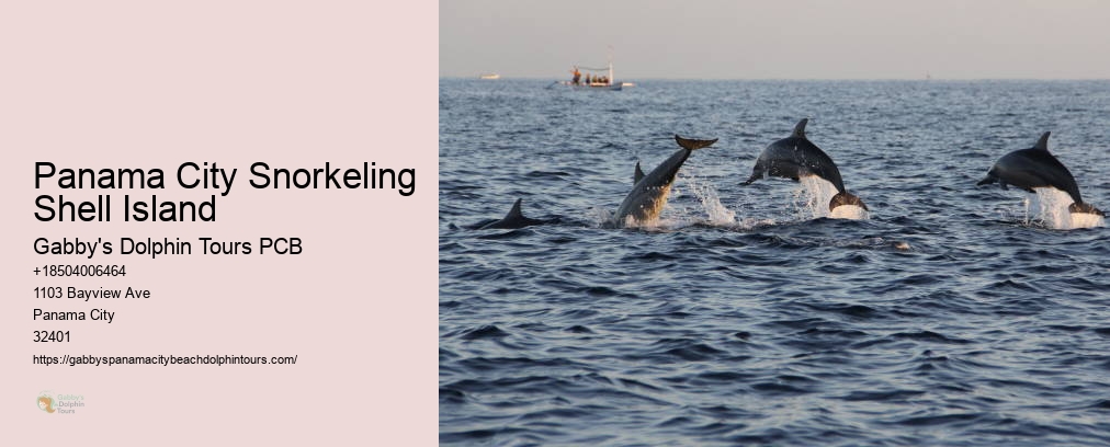 Panama City Snorkeling Shell Island