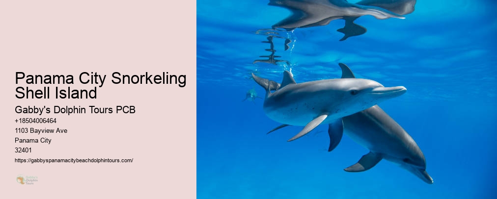 Dolphin Tours Panama City Fl