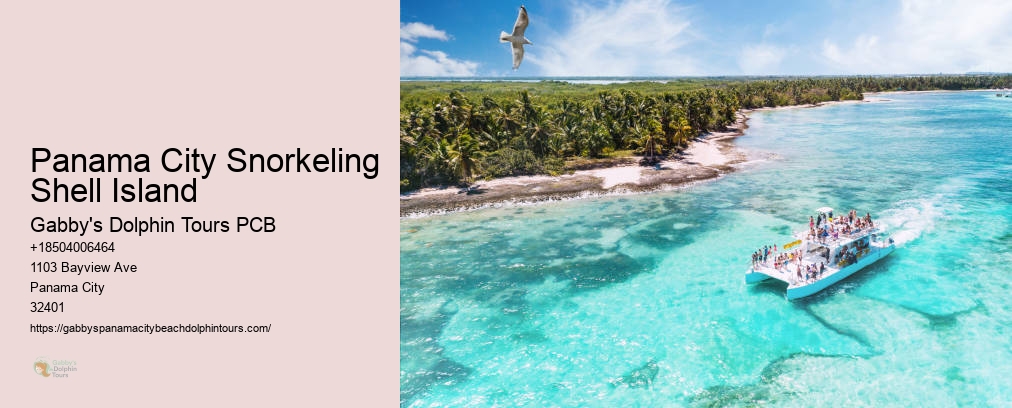 Swim With Dolphins Panama City