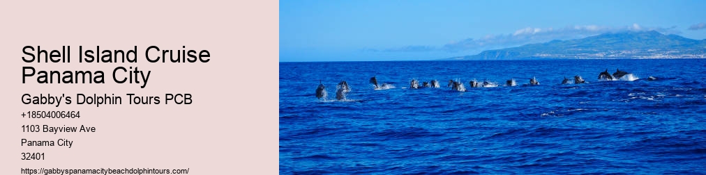 Dolphin Tours Panama City Fl