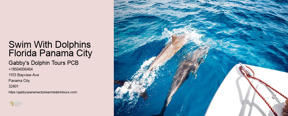 Panama City Dolphin Tours And More