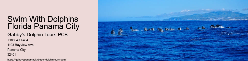 Dolphin Tours Panama City Fl
