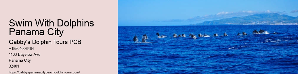 Panama City Dolphin Tours