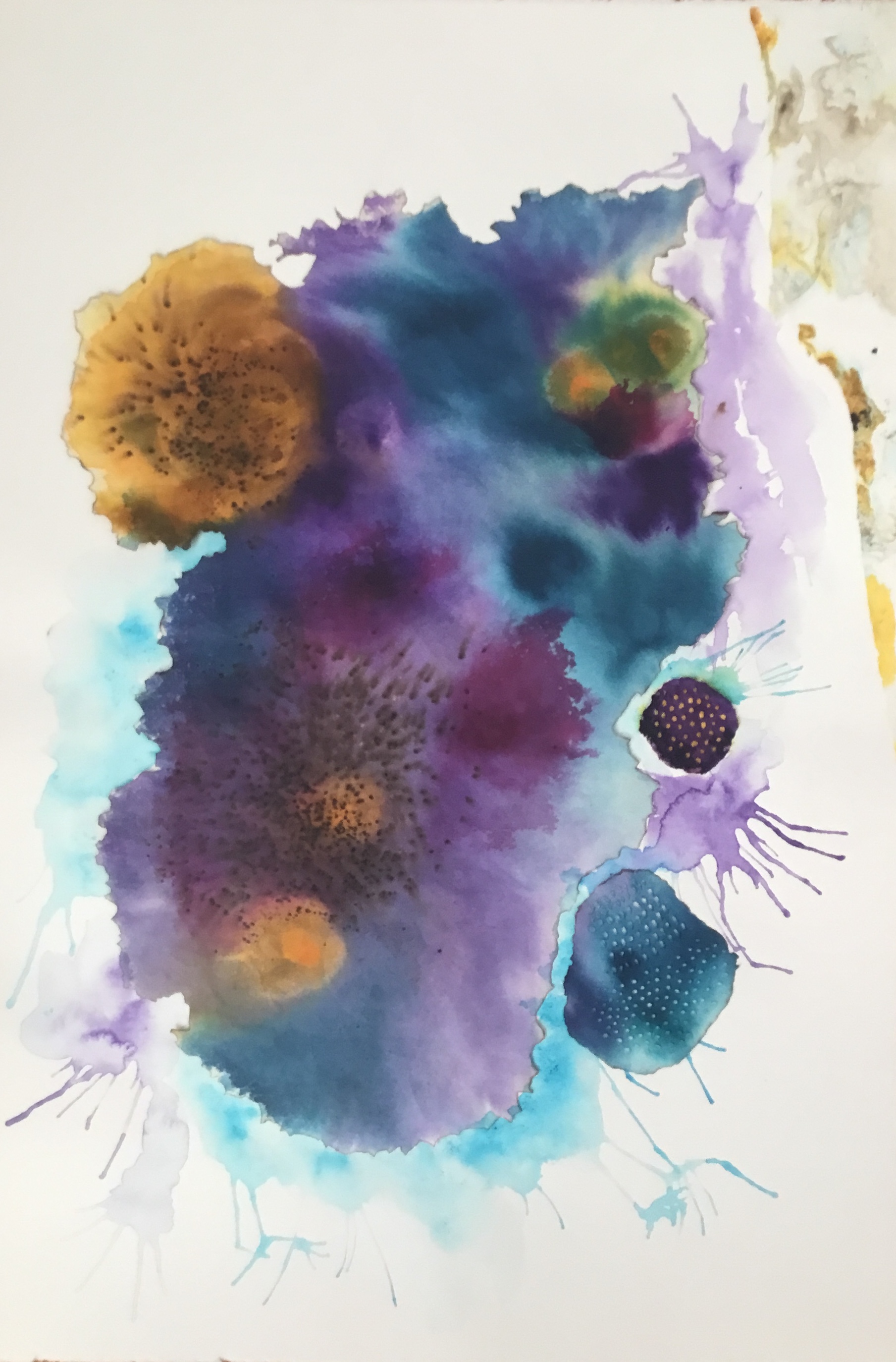 Artist Goding Coraux #2, by the artist Margo Godin | Gallea