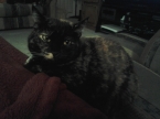 Uploaded by: Zandoletha on 2013-08-20 04:10:54