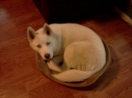 Uploaded by: Sol The Guardian  on 2013-07-31 01:38:08