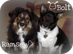 Uploaded by: Zandoletha on 2013-07-26 17:13:03