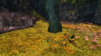 Uploaded by: Zandoletha on 2013-07-22 03:21:29