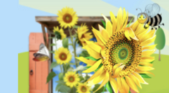 Sunflower Child Care's Photo