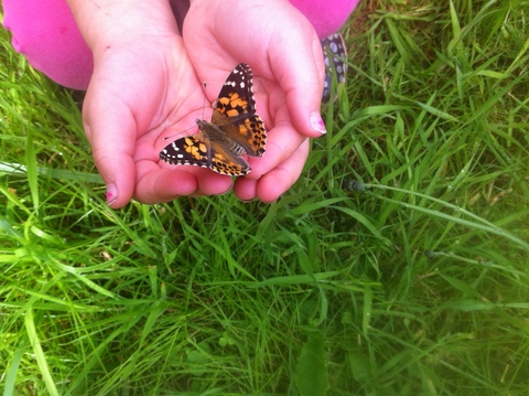Wildwood Nature School Logo