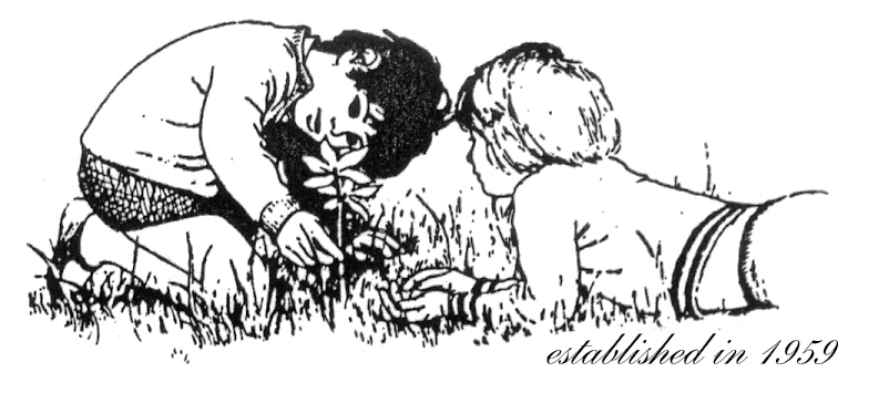 Edgewood Pre-primary Academy Logo