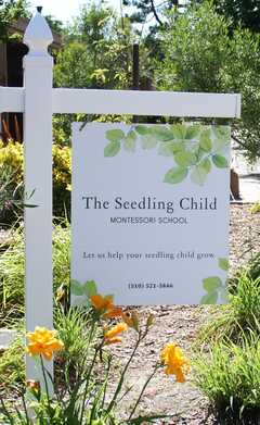 SEEDLING CHILD MONTESSORI SCHOOL's Photo