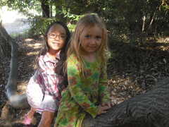 Mount Madonna Preschool's Photo