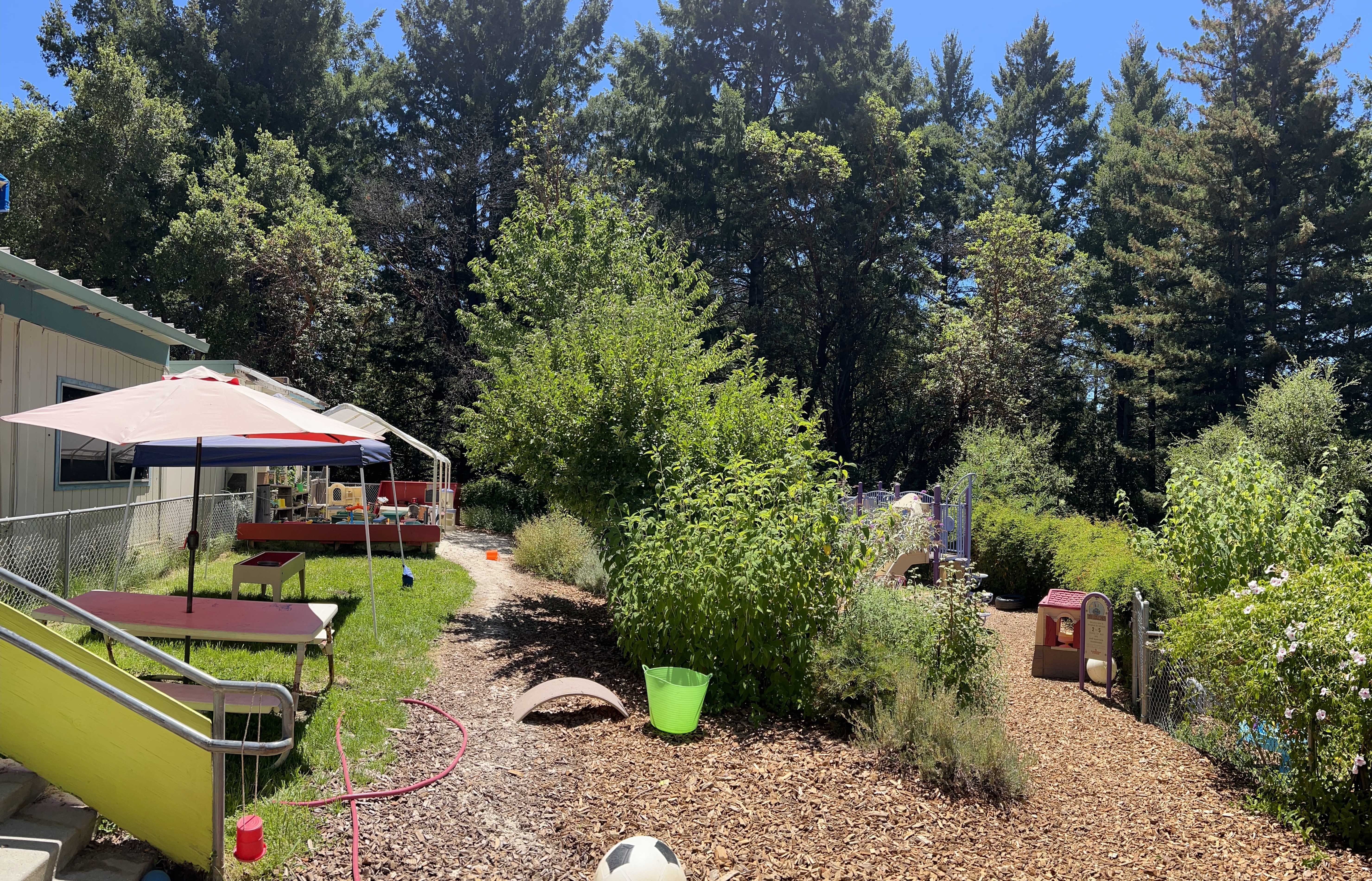 Bonny Doon Pre-school Logo