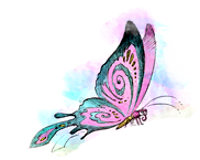 Allie Alligator Learning Center's Photo