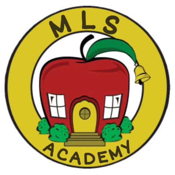 Mls Academy Corporation Logo