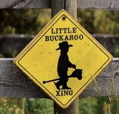 Cathryn's Lil' Buckaroos's Photo