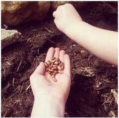 Garden Blossom Preschool's Photo