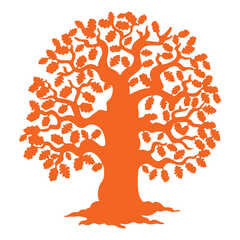 INIC Preschool Round Rock's Photo