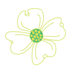 Dogwood Preschool's Photo