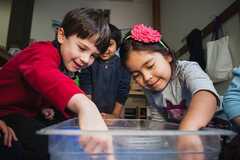 KEYSTONE MONTESSORI SCHOOL's Photo