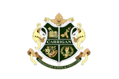 Carrigan Preparatory School & Child Care's Photo
