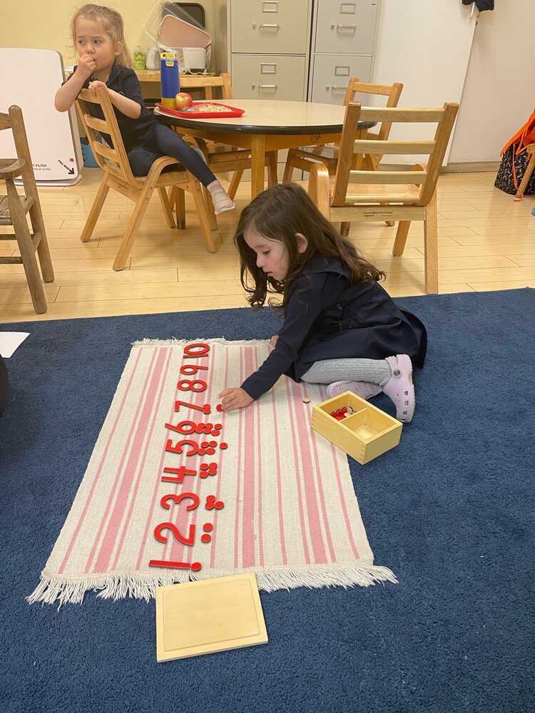 Hill Point Montessori Prepatory School Logo