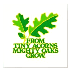 Acorns To Oaks Learning Center's Photo