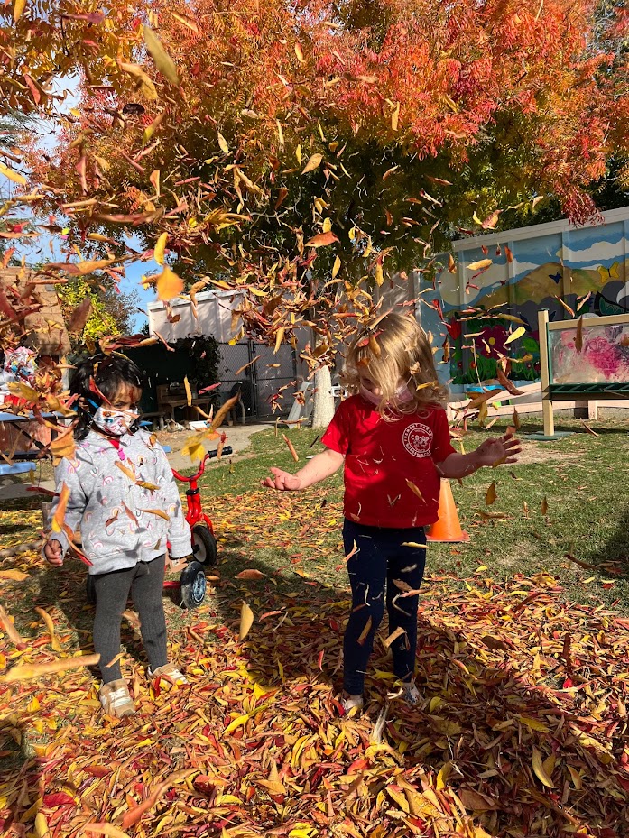 Fremont Parents Nursery School Logo