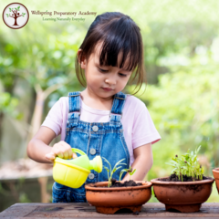 Wellspring Preparatory Academy's Photo