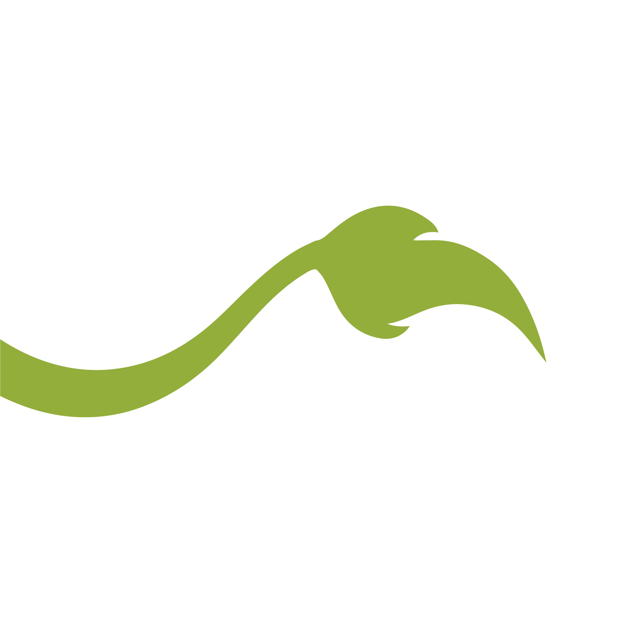 Lionheart Children's Academy At Cross City Church Logo