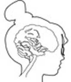 Growing Minds Learning Academy's Photo