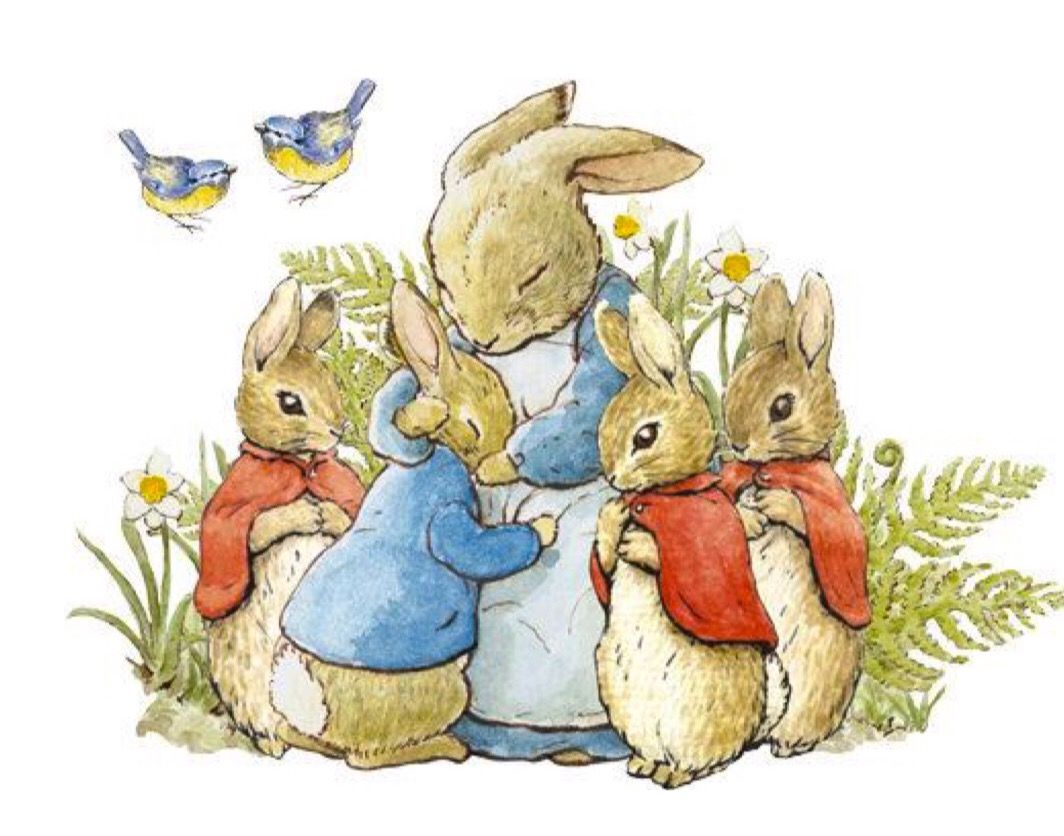 Happy Kids Childcare and Preschool 3-5 Years DSHS Accepted's Photo