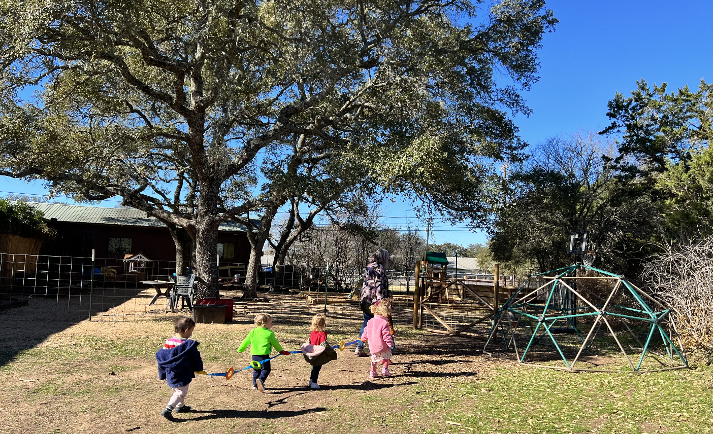 Dripping Springs Montessori School Logo