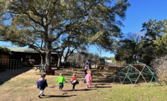 Dripping Springs Montessori School's Photo