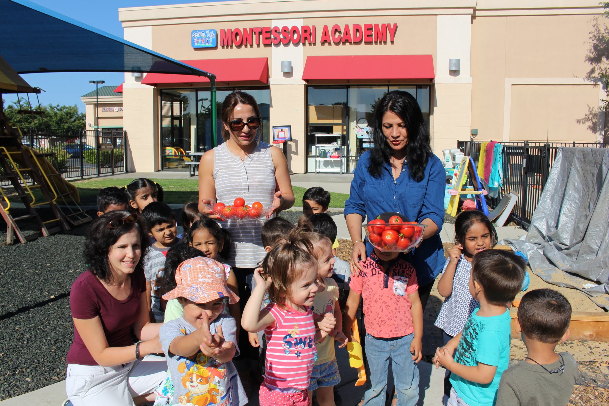 Folsom Lake Montessori Academy Logo