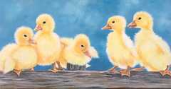 Lil Ducklings Daycare LLC's Photo