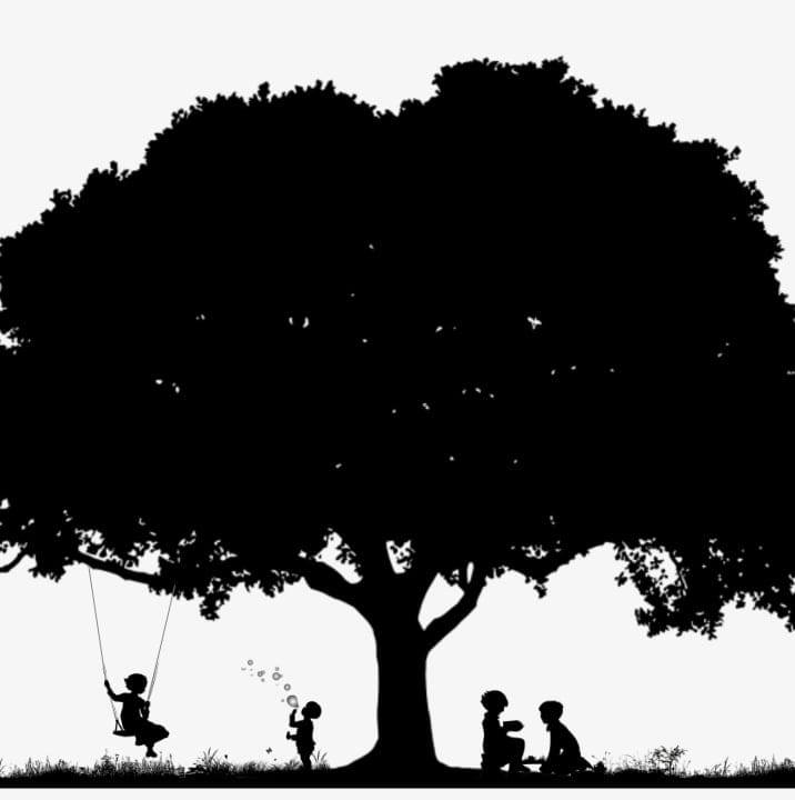 Adventure Learning's Photo