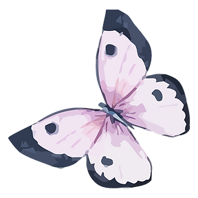 Delight Ahead Child & Family Development Center's Photo