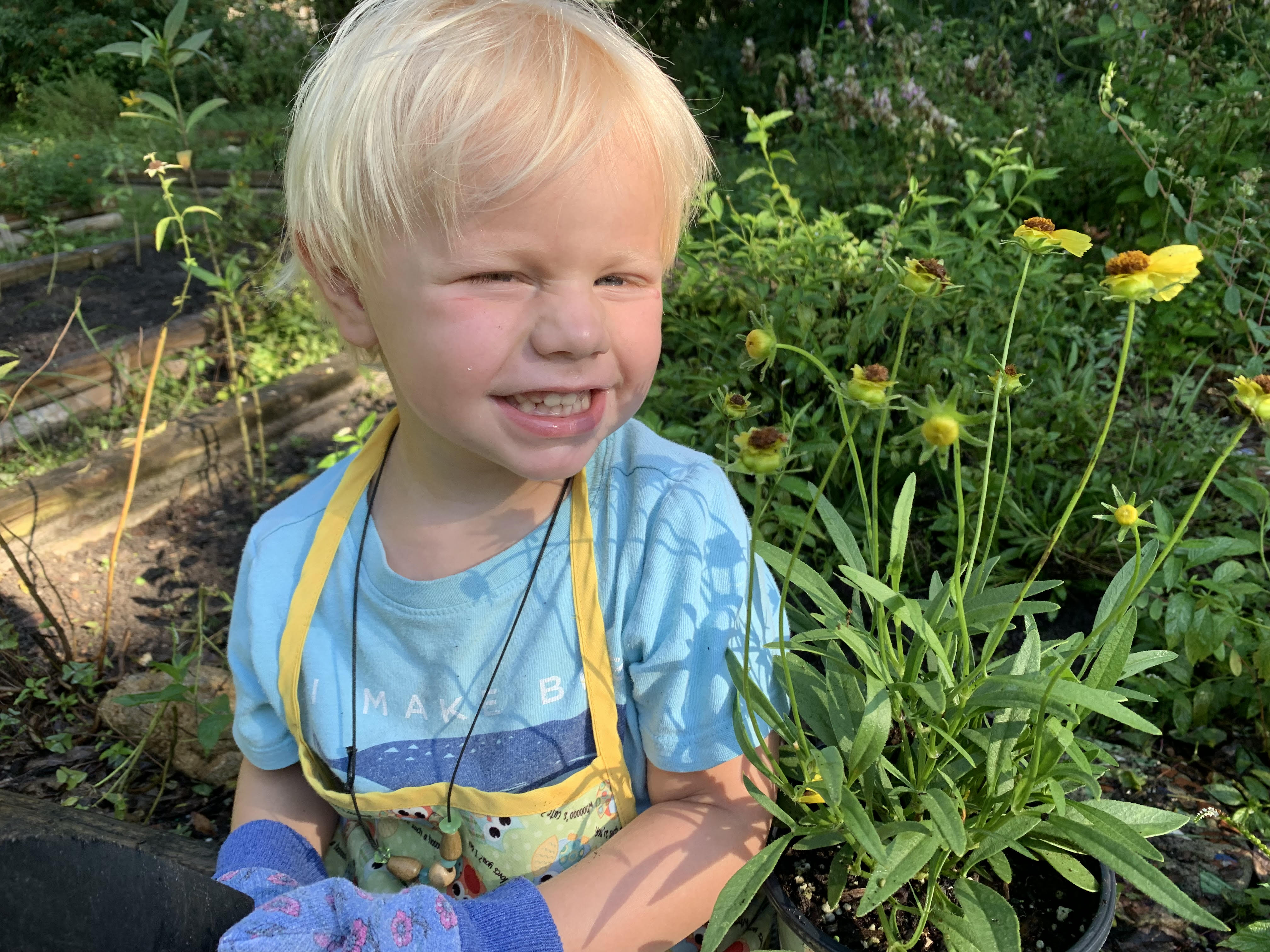 Full Time School/closed During Summer: Deland Montessori School Dba Children's House Montessori School Logo