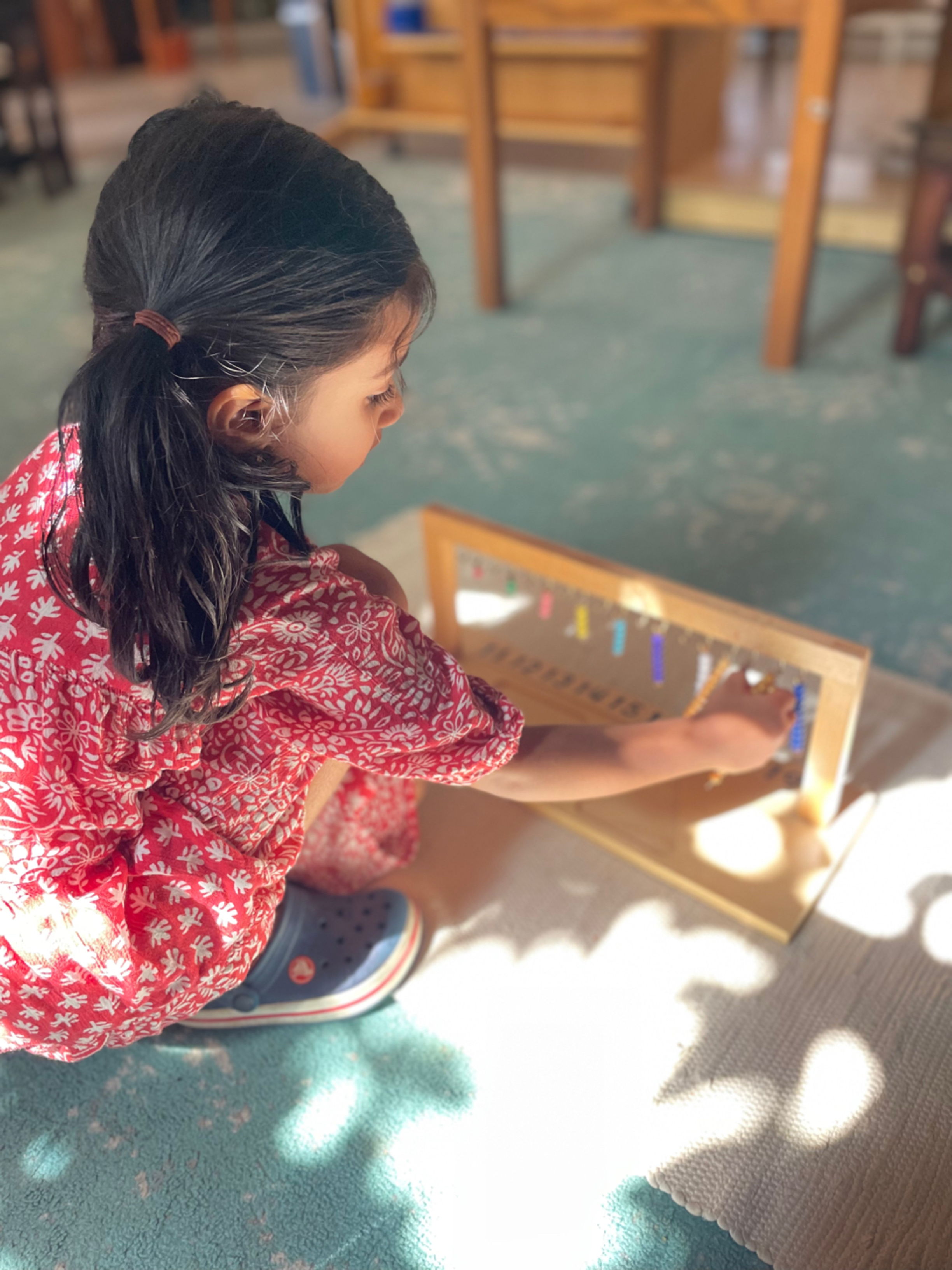 The Montessori School Rochester- Crystal Lake Logo