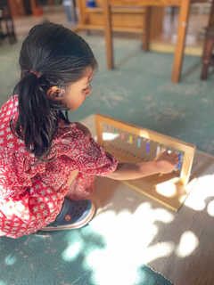 THE MONTESSORI SCHOOL ROCHESTER- CRYSTAL LAKE's Photo
