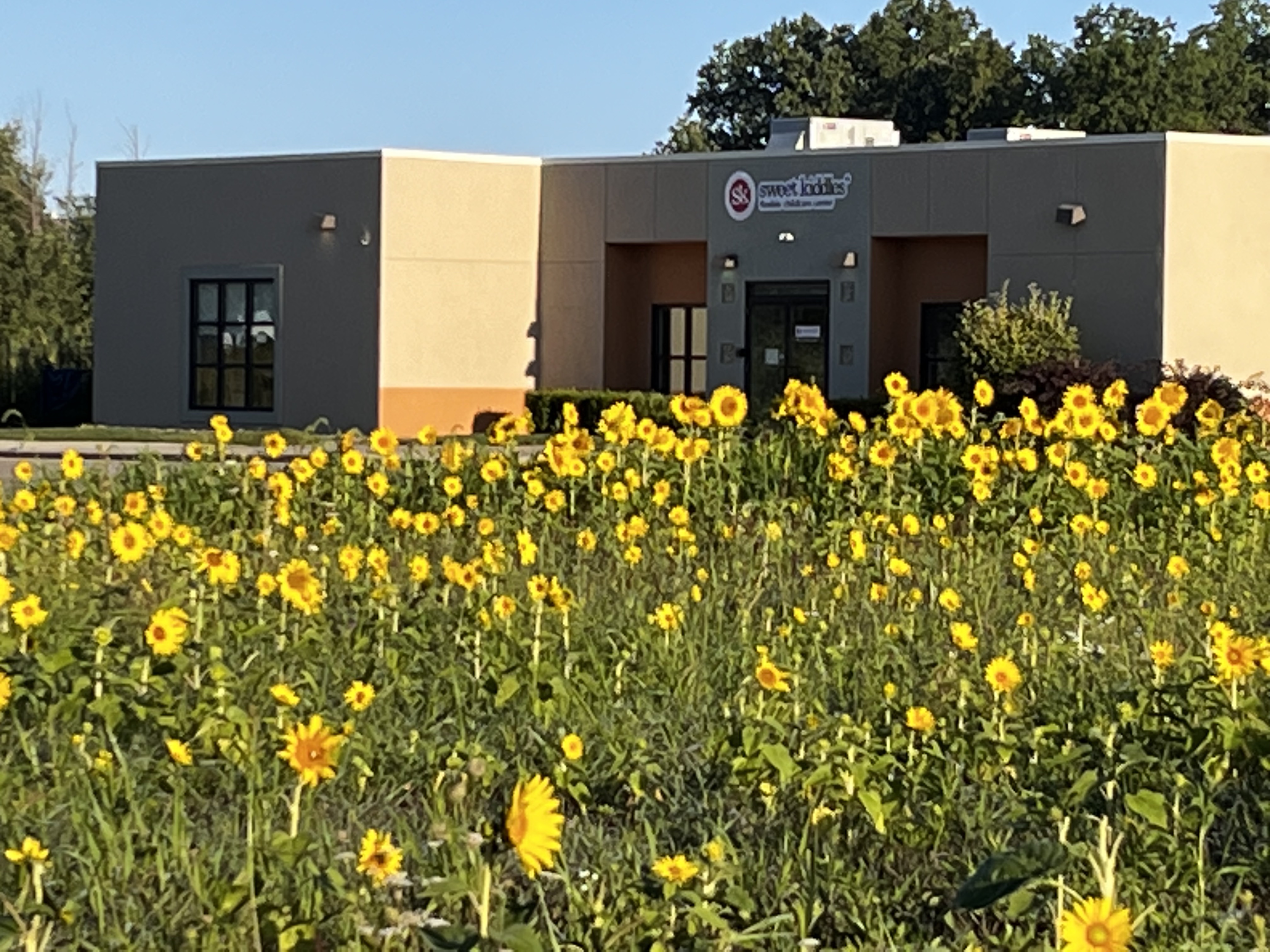 Sweet Kiddles Flexible Childcare Center - Avon Lake Logo